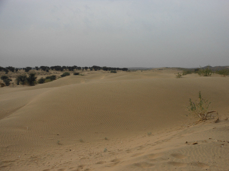 Desert dunes!