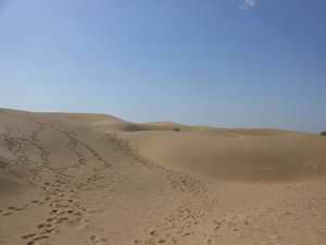 Dunes after sunrise