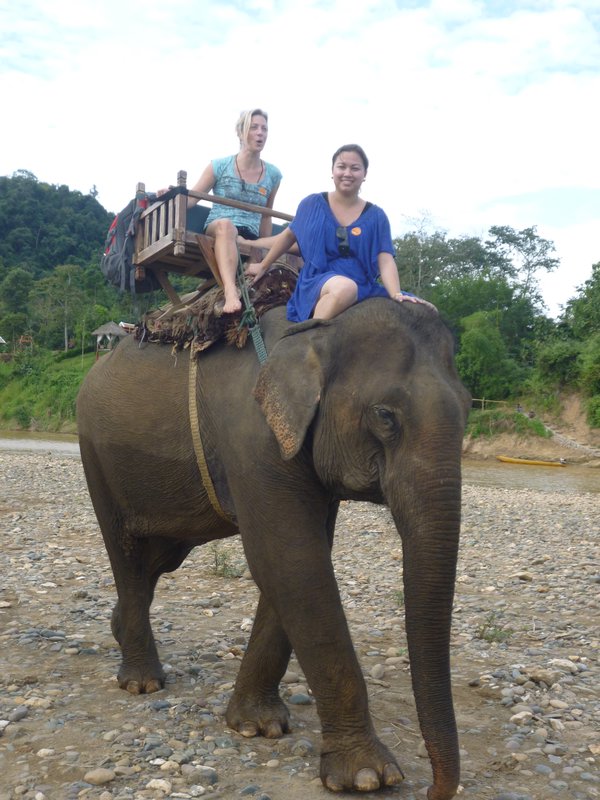 Me & Bo the Elephant