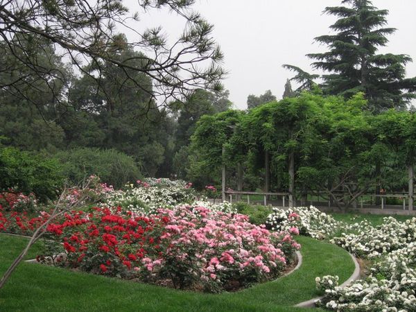 Gardens at the Temple of Heaven.