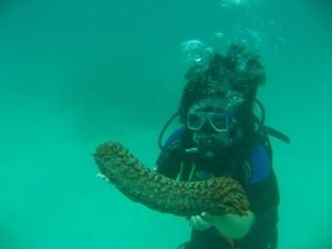 Vicky and a large sea cucumber!!