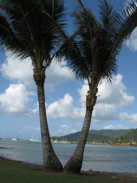 Airlie Beach Seafront.