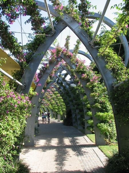 Pretty walkway in the South Bank Parklands.