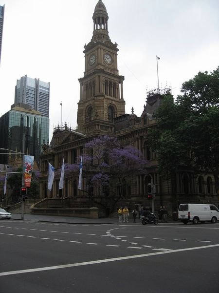 Some nice old buildings in the heart of the CBD.