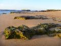 Peterbourough beach sunrise