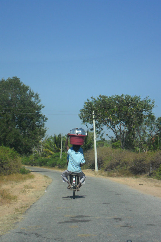 Multitasking Mysore cyclist