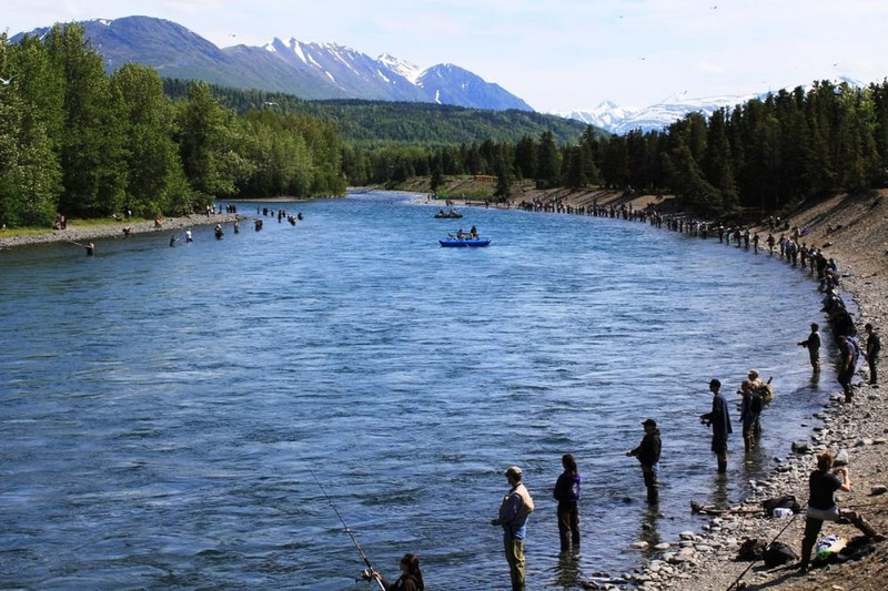 Russian River Salmon Fishing