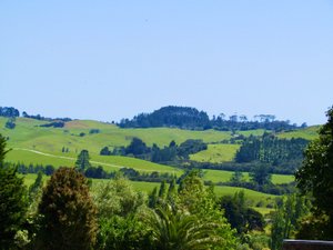 NZ countryside