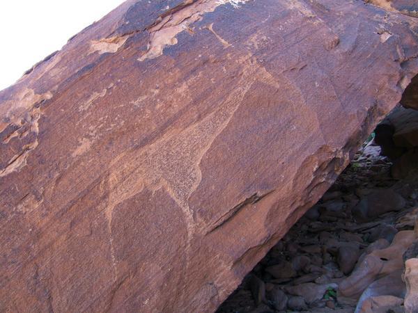 Petroglyphs at Twylfefontein