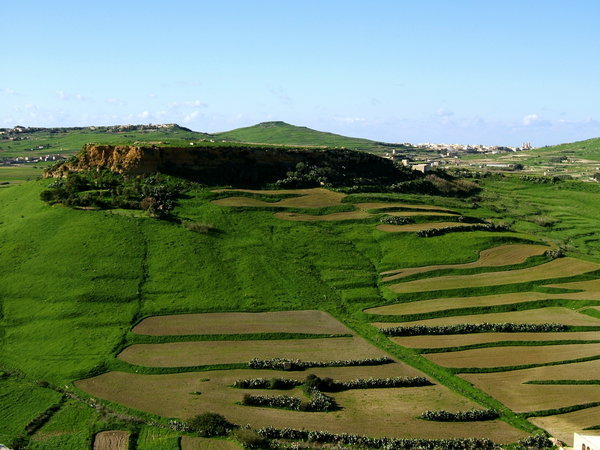 Gozo Fields