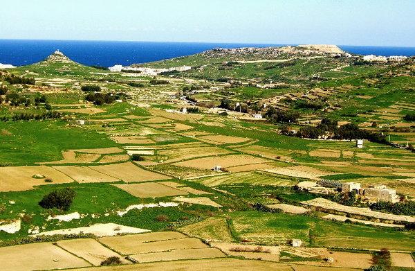 More Gozo Fields