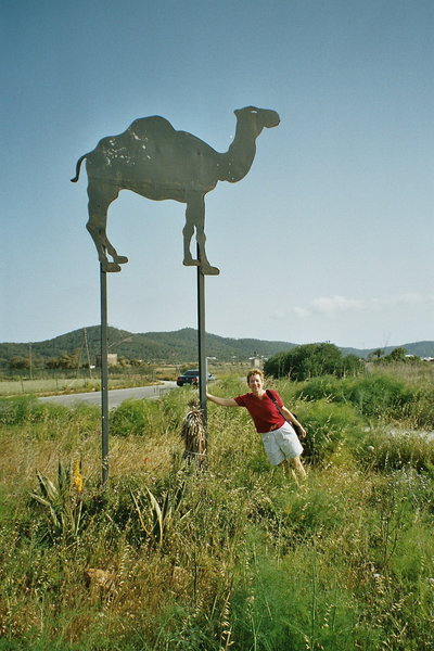 Sign - Camel Barn