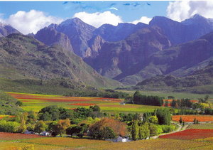 Cape Town Wine Country