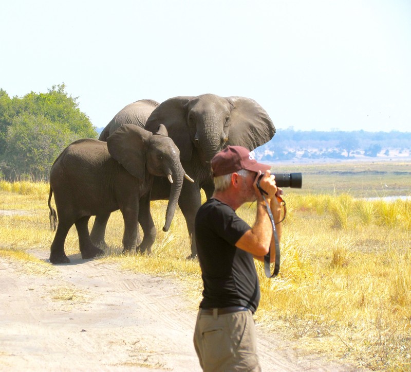 Jack & Chobe Elephants