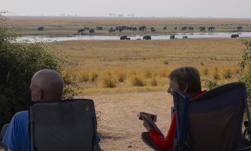Chobe Elephant Viewing from Camp