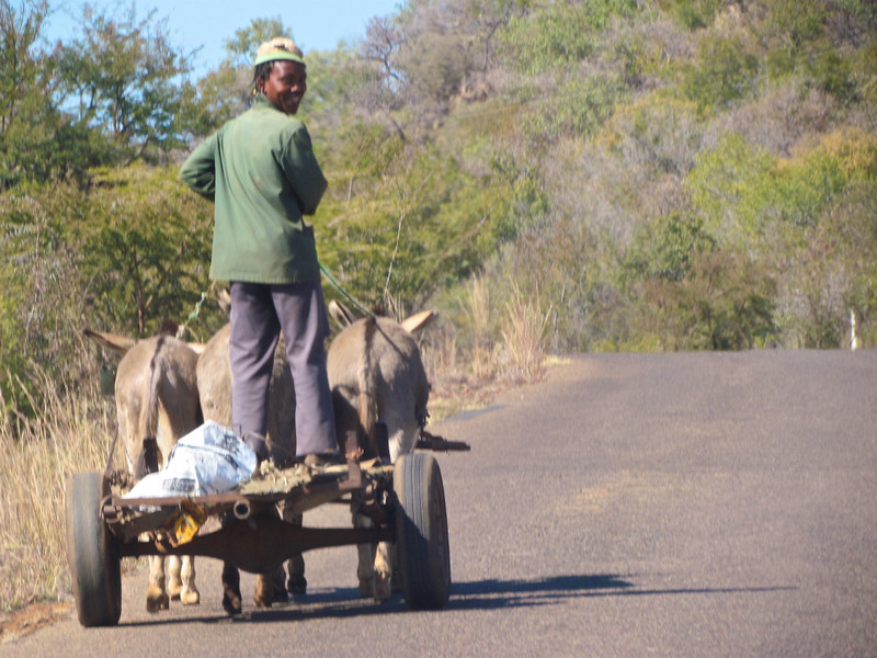 Pilanesberg Transportation