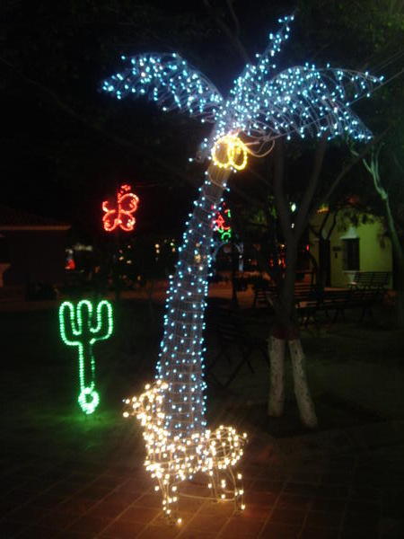Palm Trees, Cacti and Reindeer