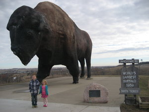 Largest Bison