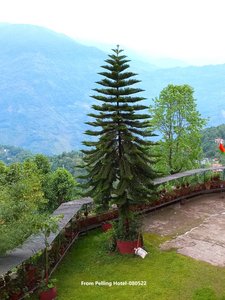 59-From Pelling Hotel