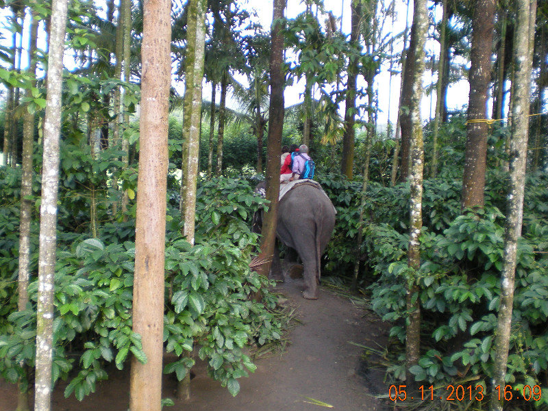 17-Elephant ride