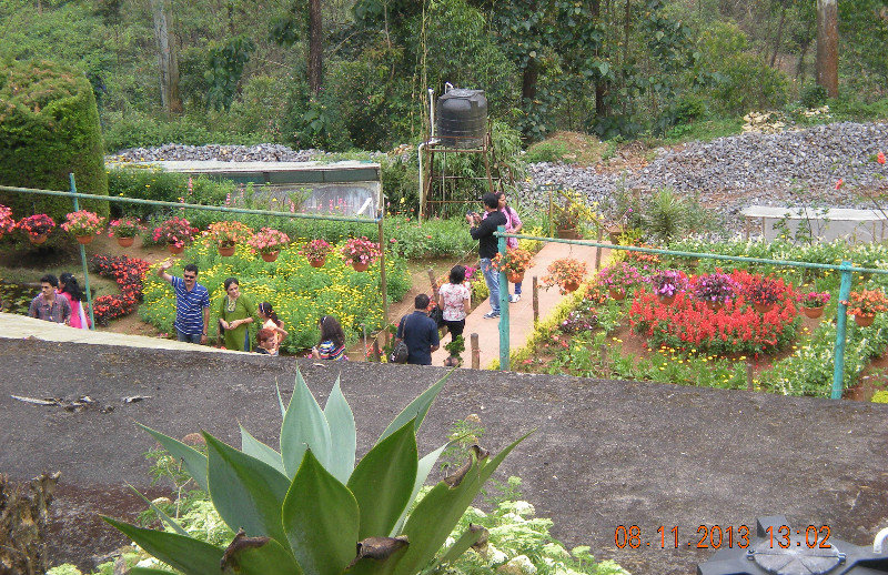 At Horticulture Garden Munnar