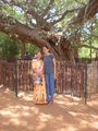 Banyan Tree, Center of Auroville
