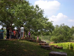 View Point, Auroville