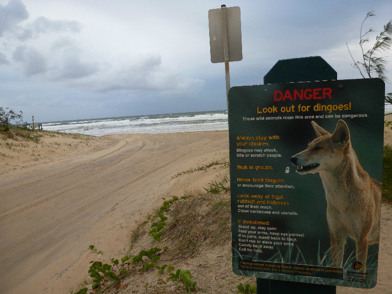 Fraser Island - Dingo warnings