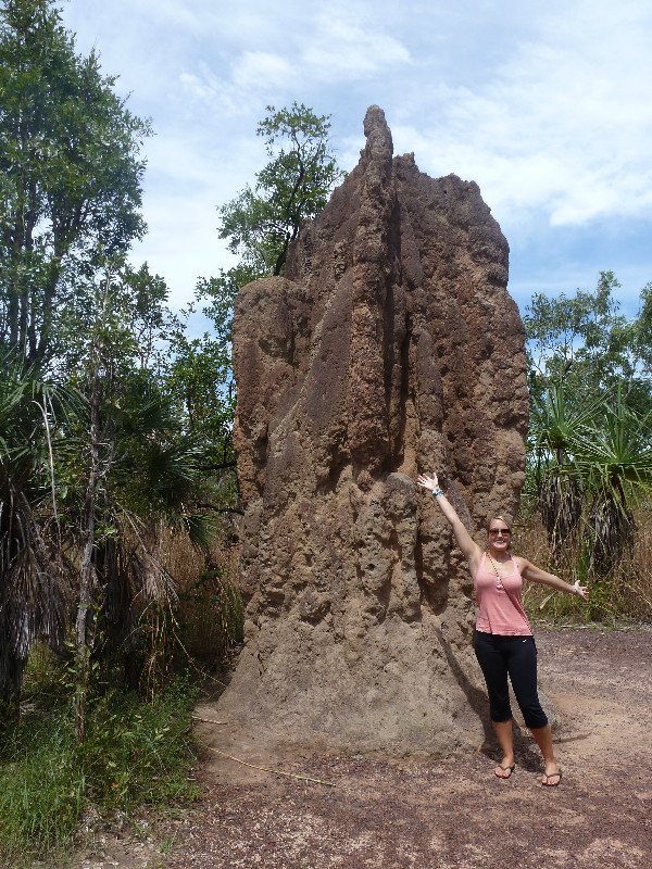 Litchfield Park - Giant Termite Mounds