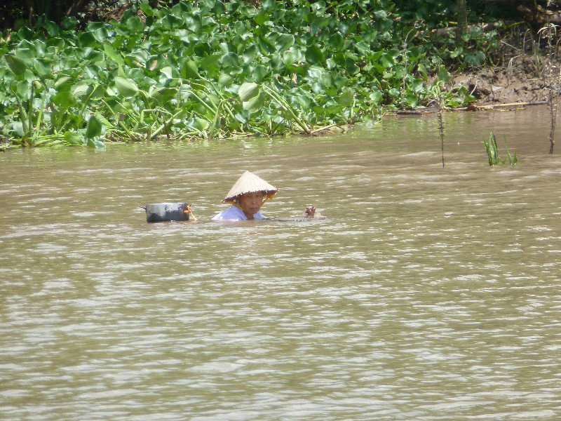 Mekong River -  local woman collects river snails for dinner