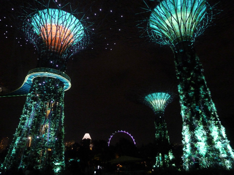 Singapore - Super Trees