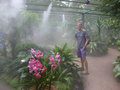 Singapore - The Orchid Gardens shouldn't be mist