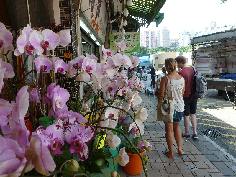 Kowloon - Flower Market