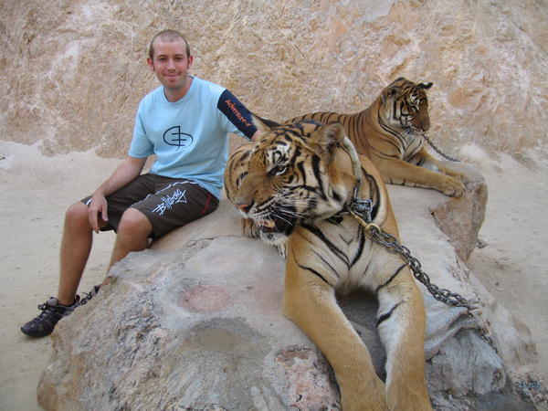 Andy with tigers