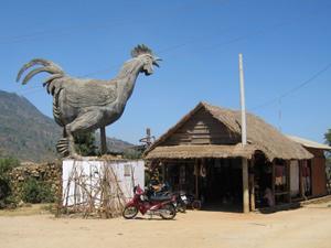 Chicken village