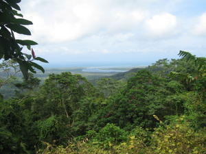 Daintree rainforest & snapper island