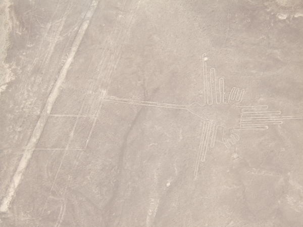 Humming Bird Etching in Nazca