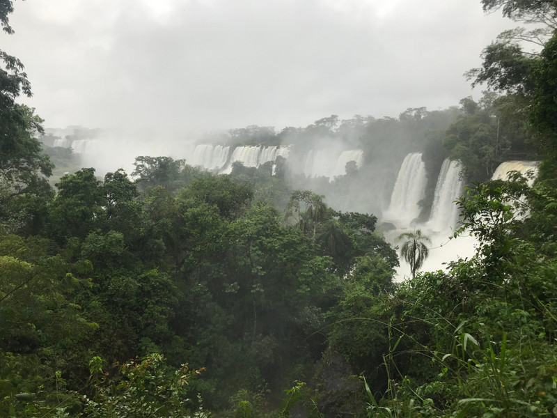 Endless waterfalls and jungle
