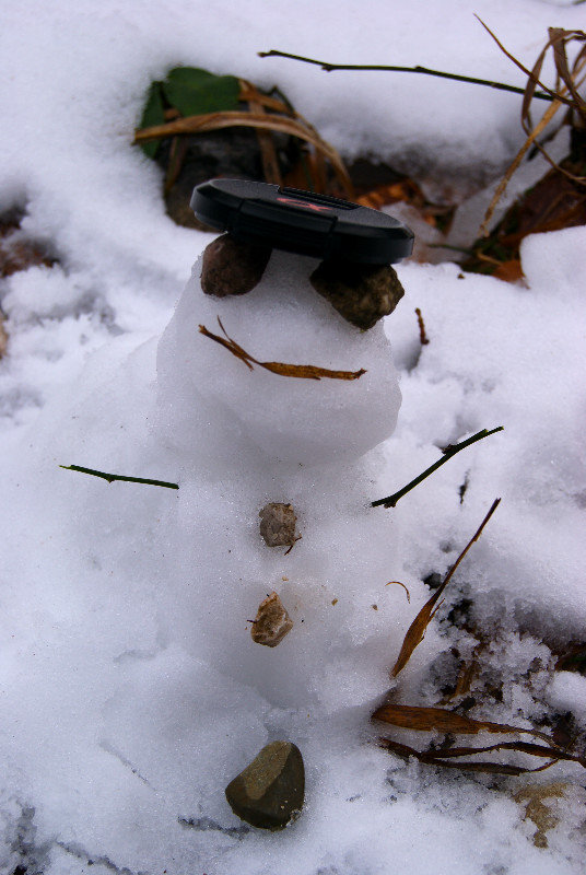 Little snowman for company