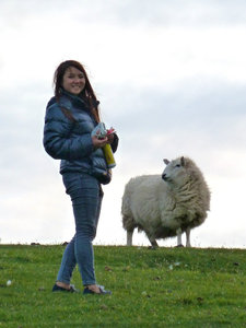 With her fav sheep