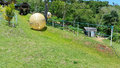 Zorb-ing down the slope!
