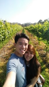 With the vineyards!