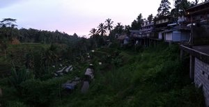 Rice Terraces at Tegalalang