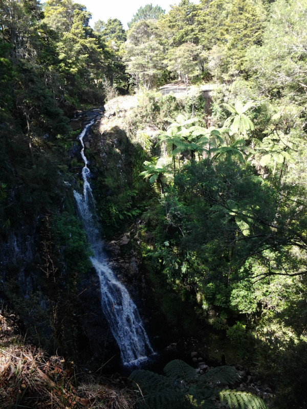 Pukenui Falls