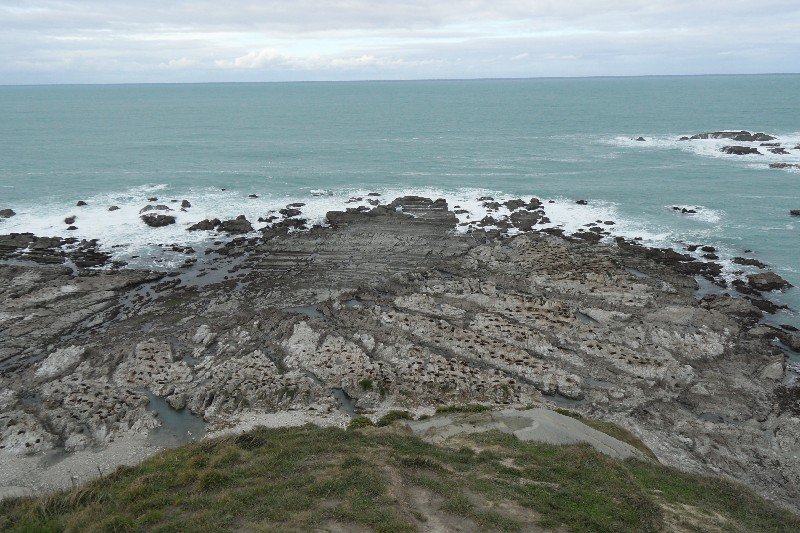 De kust van Kaikoura is een favoriete plek voor zeehonden. Zie die zwarte stipjes: allemaal slapende zeehonden