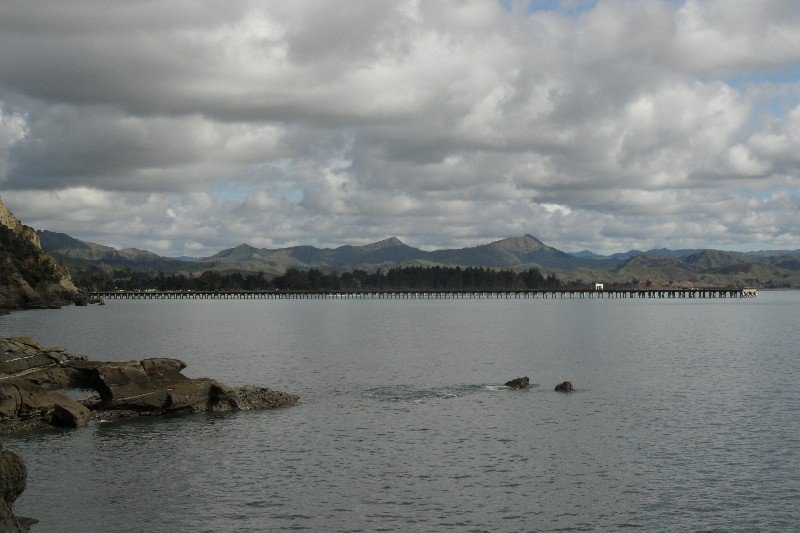 De longest wharf in Tolaga Bay bij daglicht