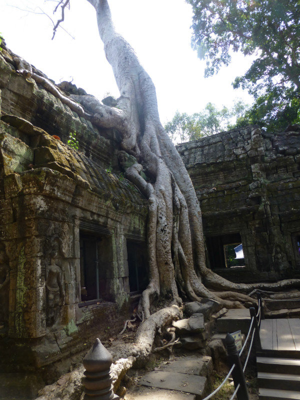 Angkor Thom/Tomb Raider