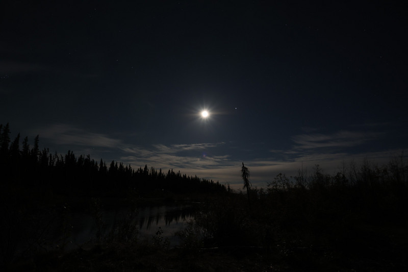 Aurora Moonlight near Marsh Lake