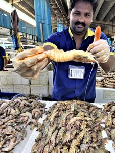 20230218 Jeddah Fish Market4
