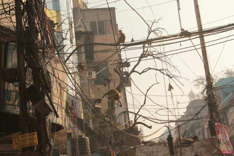 Streets of Old Delhi 7